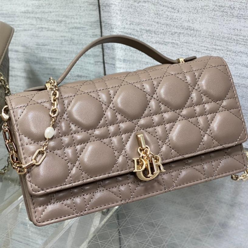 Luxury Diormy mini 21 dark brown lambskin
