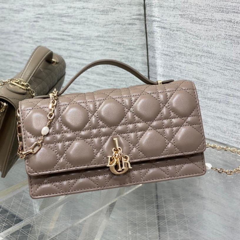 Luxury Diormy mini 21 dark brown lambskin