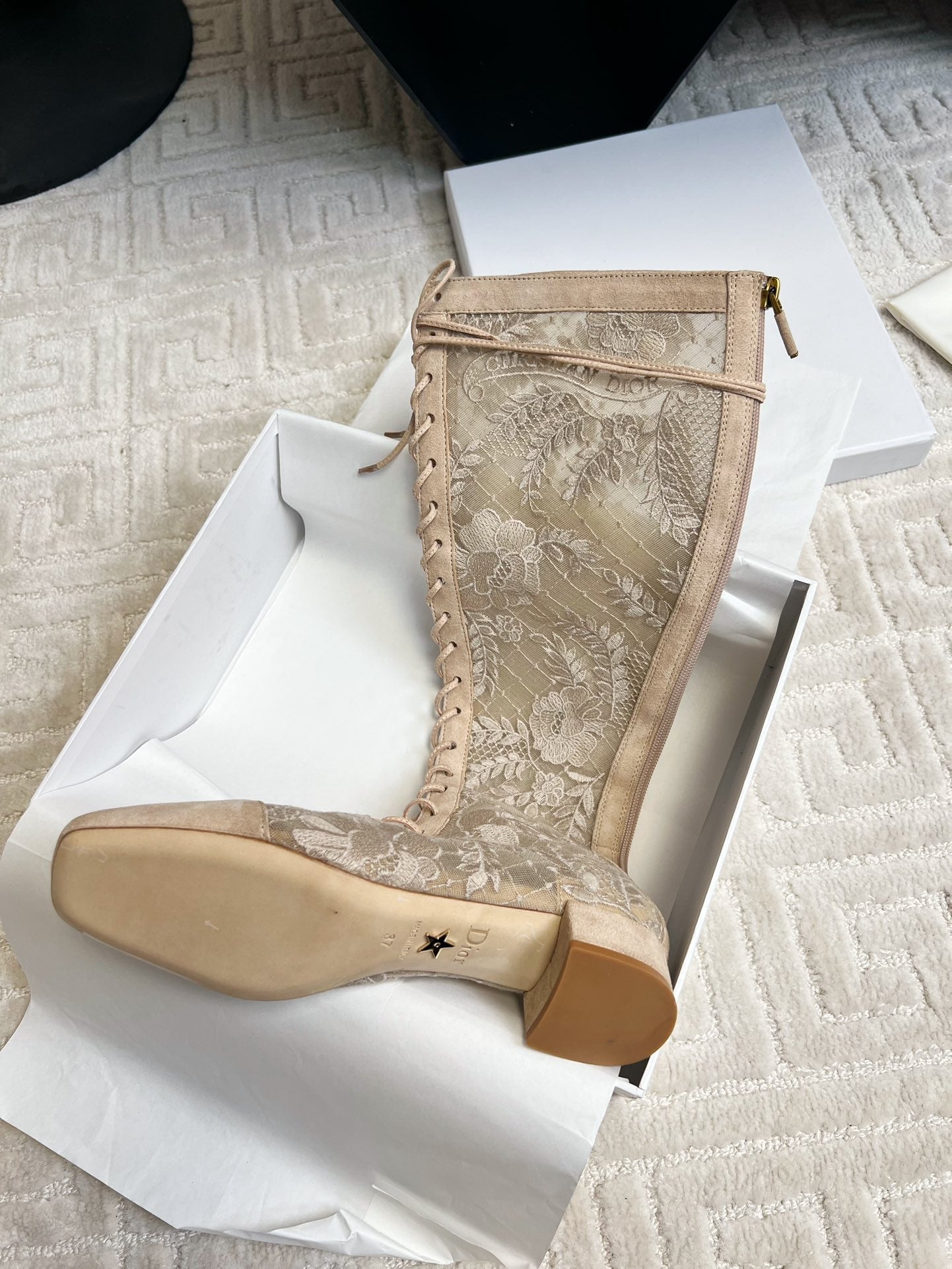 Luxury DiorNaughtily-D Heeled High Boots Beige Transparent Mesh Roses Embroidery And Suede