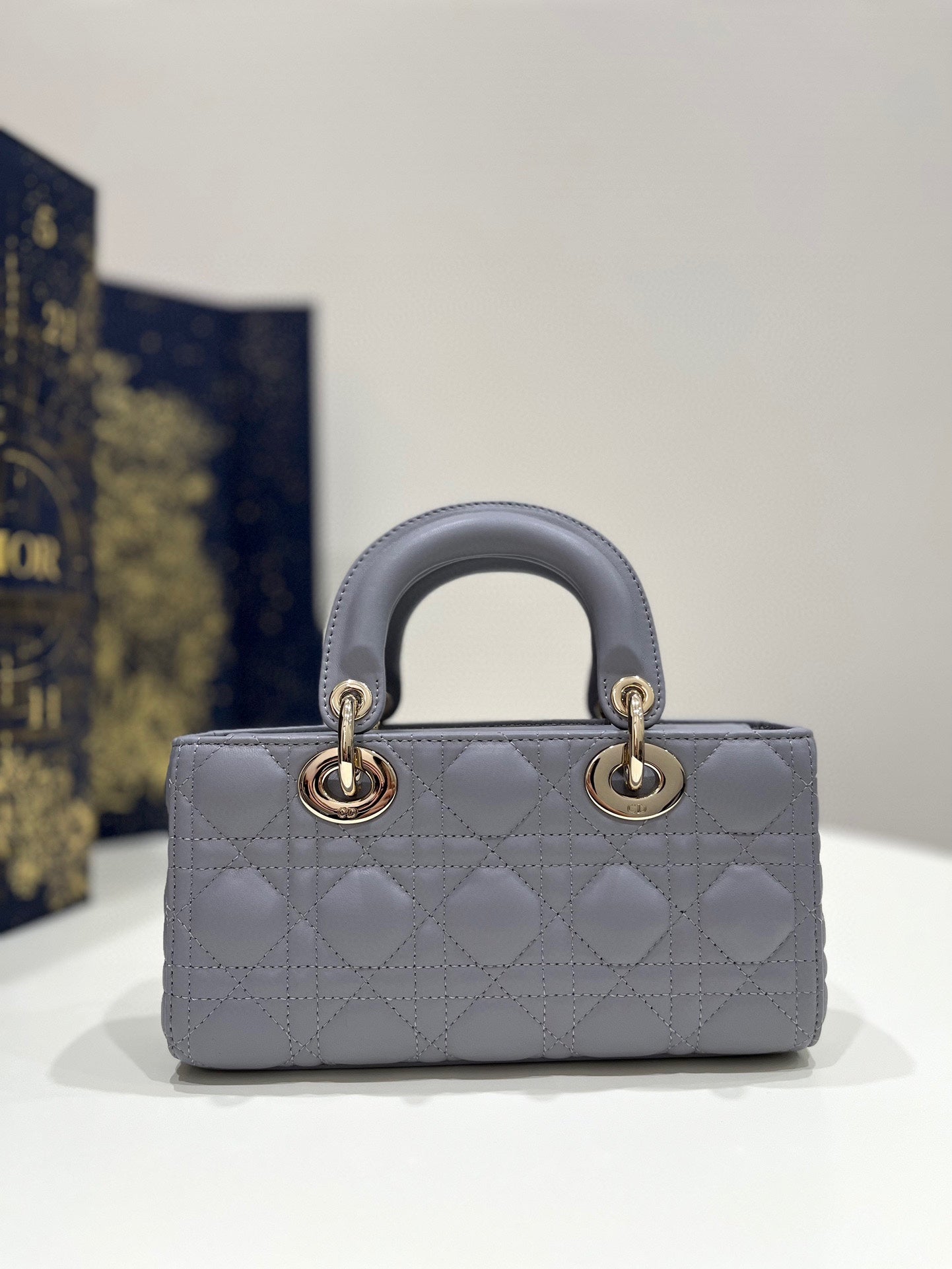Luxury DiorSMALL D-JOY BAG 22 IN GREY LAMBSKIN