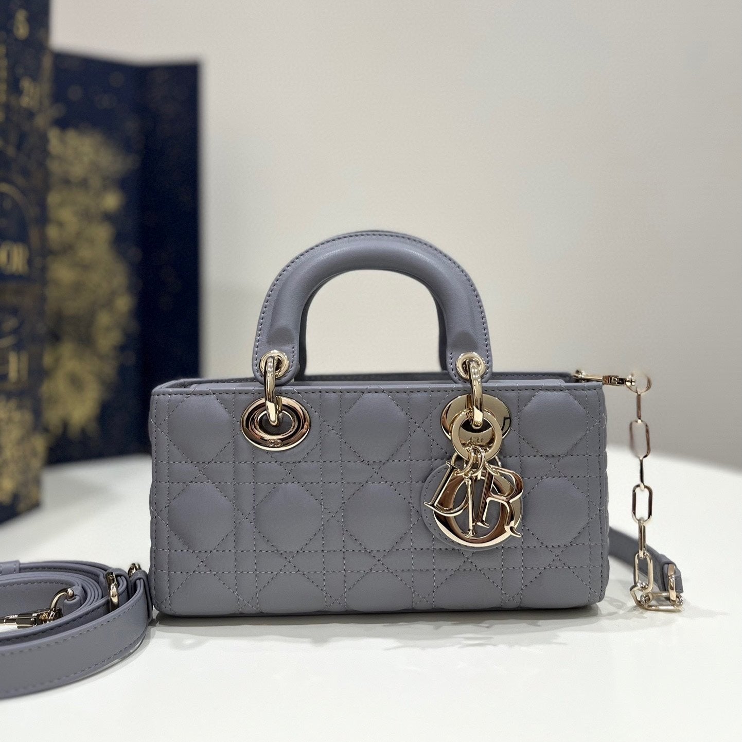 Luxury DiorSMALL D-JOY BAG 22 IN GREY LAMBSKIN