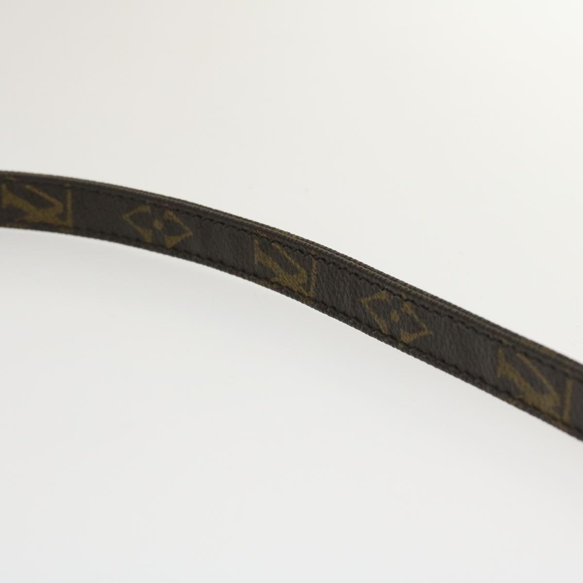 LOUIS VUITTON Monogram Danube Shoulder Bag M45266 LV jk1927