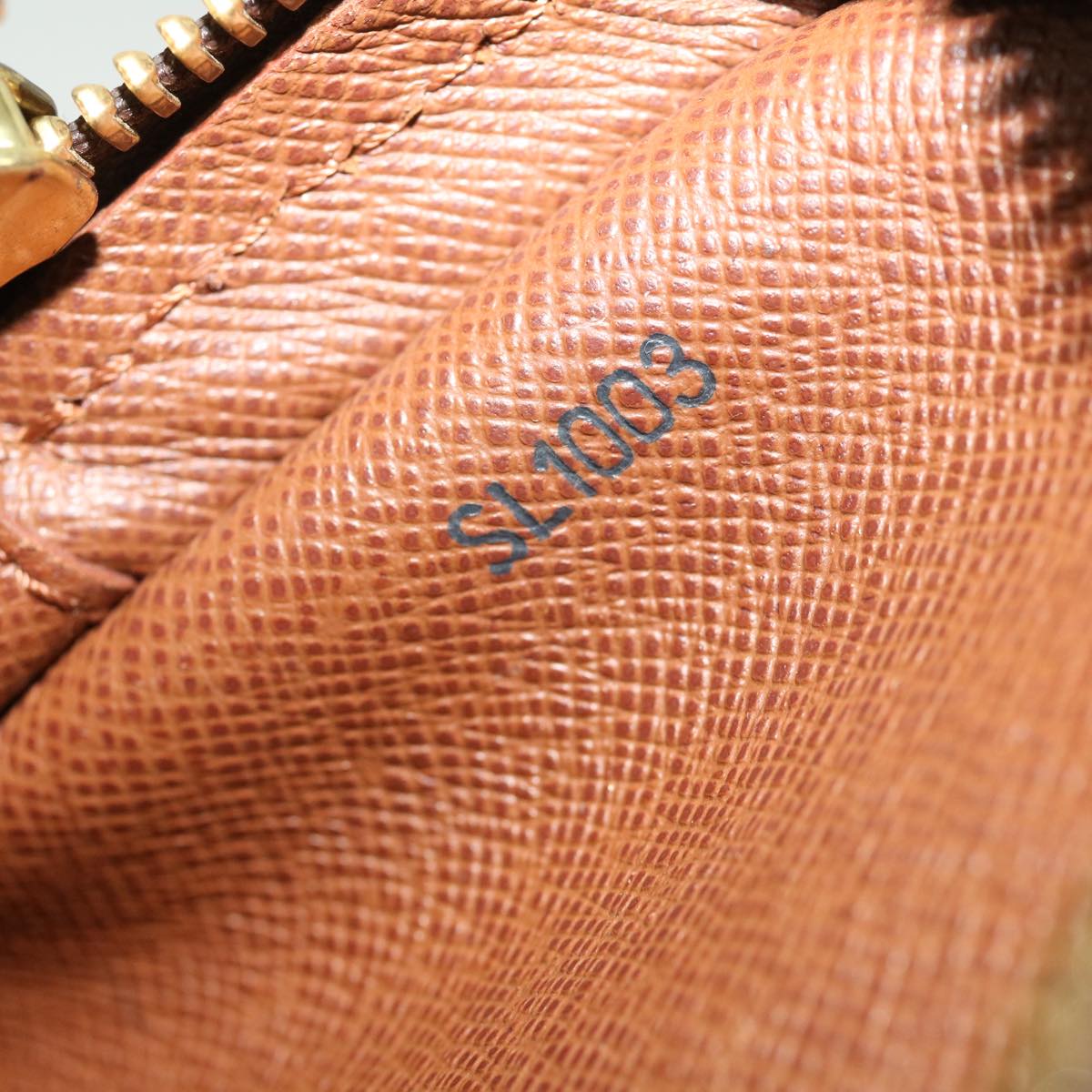 LOUIS VUITTON Monogram Danube Shoulder Bag M45266 LV jk1971
