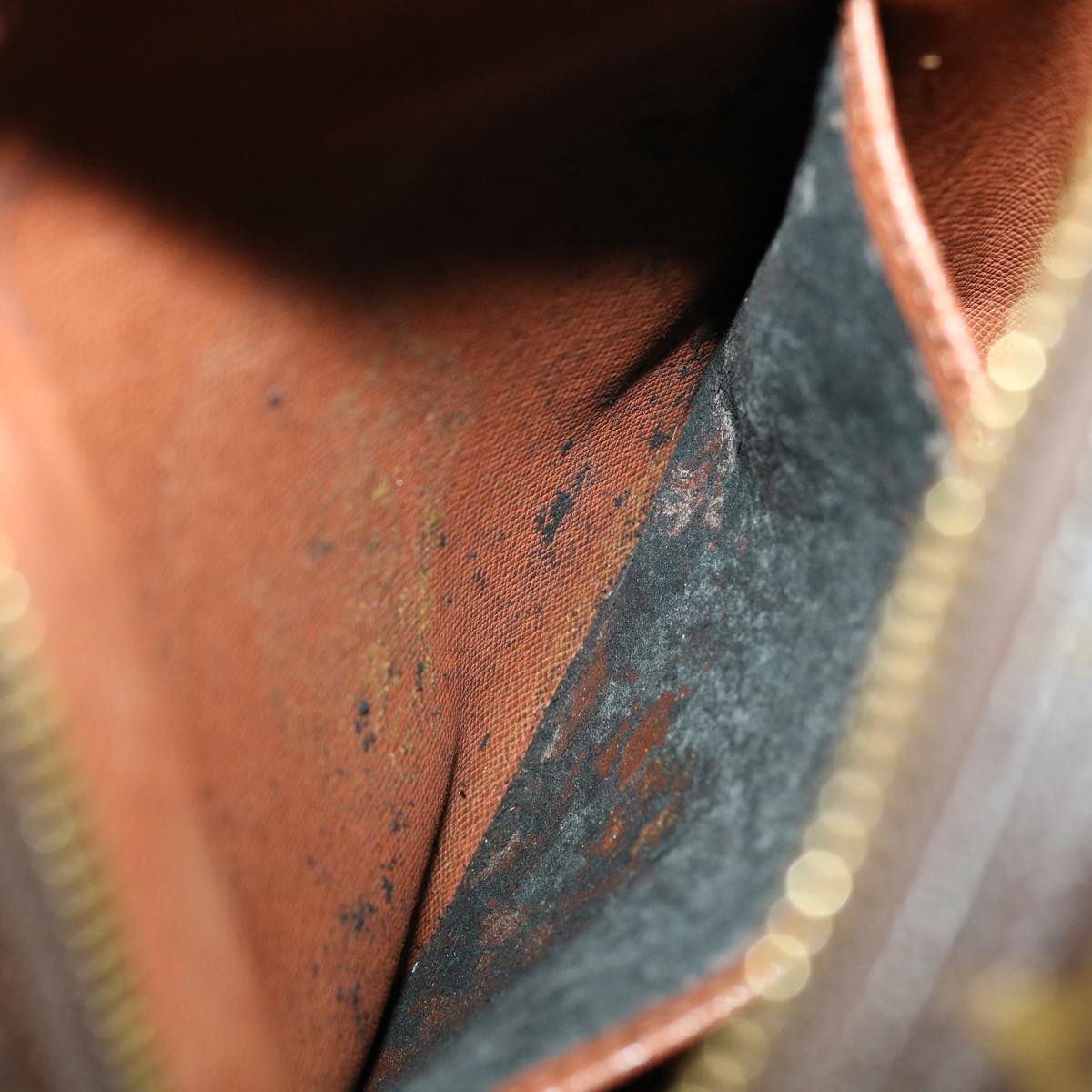 LOUIS VUITTON Monogram Amazon Shoulder Bag M45236 LV jk2704