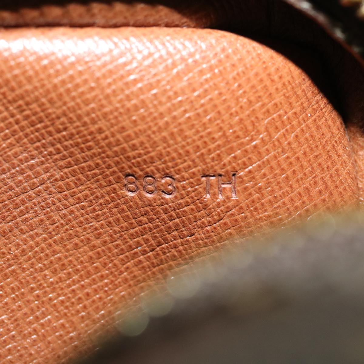 LOUIS VUITTON Monogram Amazon Shoulder Bag M45236 LV jk2737