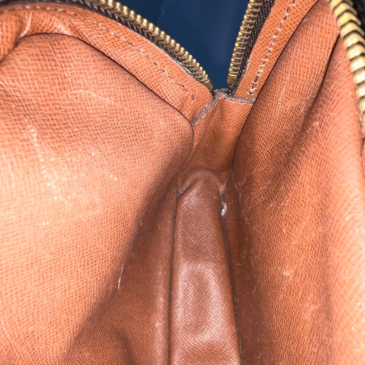 LOUIS VUITTON Monogram Amazon Shoulder Bag M45236 LV jk2934