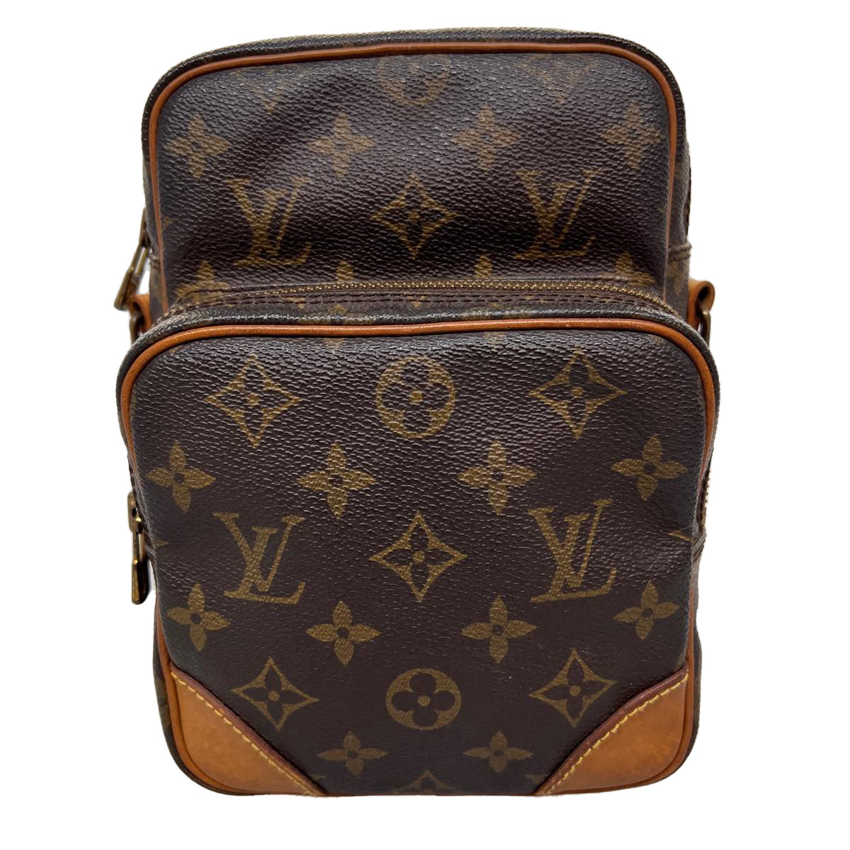 LOUIS VUITTON Monogram Amazon Shoulder Bag M45236 LV jk2934