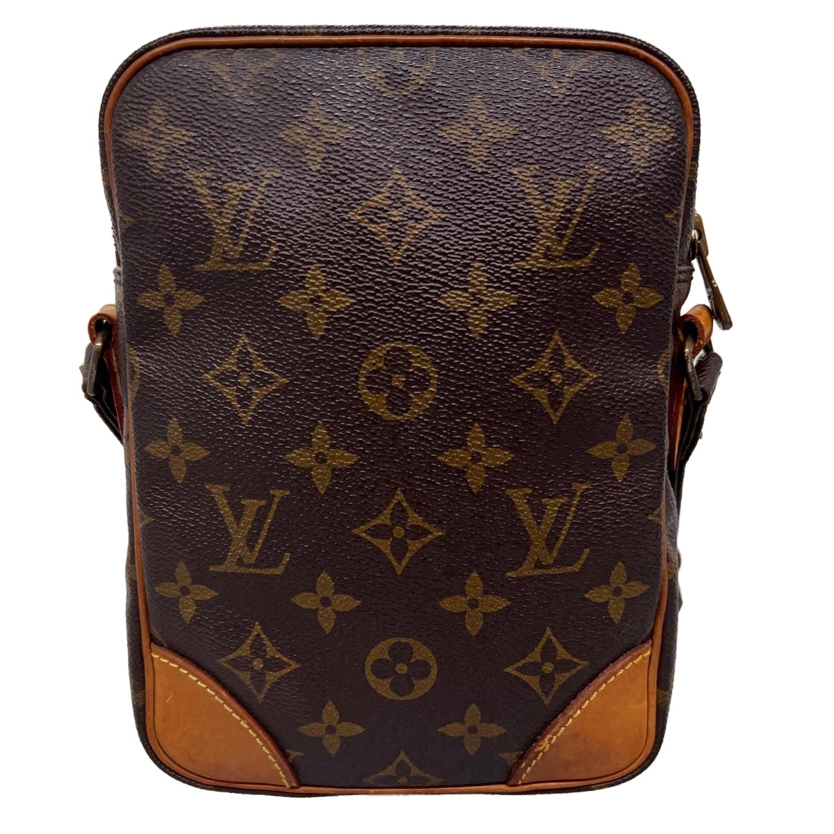 LOUIS VUITTON Monogram Amazon Shoulder Bag M45236 LV jk2934