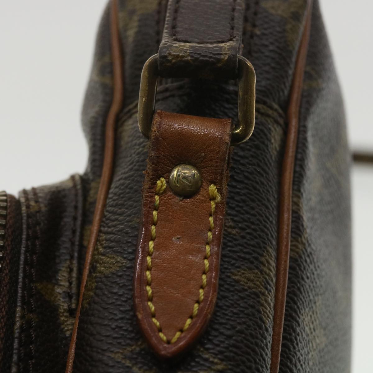 LOUIS VUITTON Monogram Amazon Shoulder Bag M45236 LV jk2959