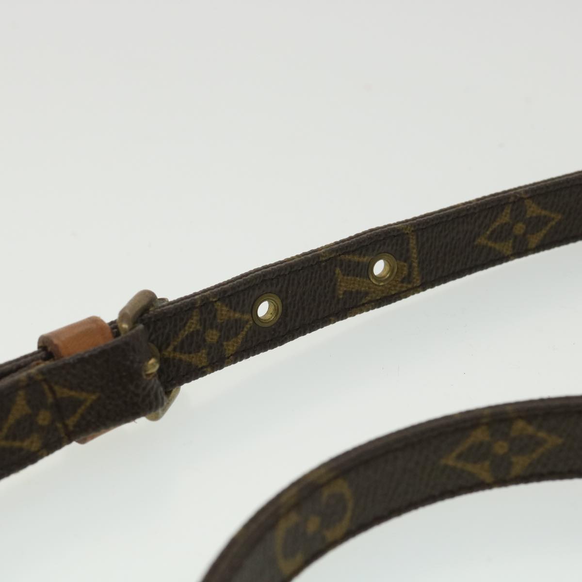 LOUIS VUITTON Monogram Amazon Shoulder Bag M45236 LV jk2959