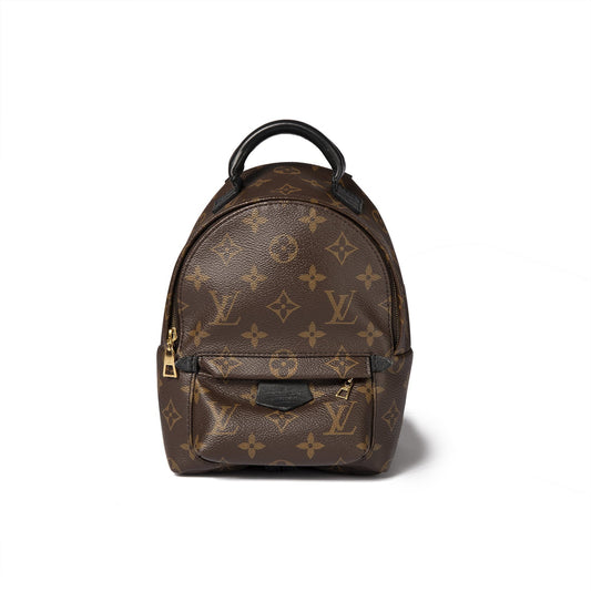 Louis Vuitton Monogram Palm Springs Mini Backpack