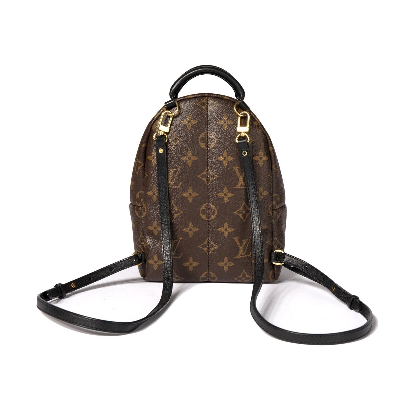 Louis Vuitton Monogram Palm Springs Mini Backpack