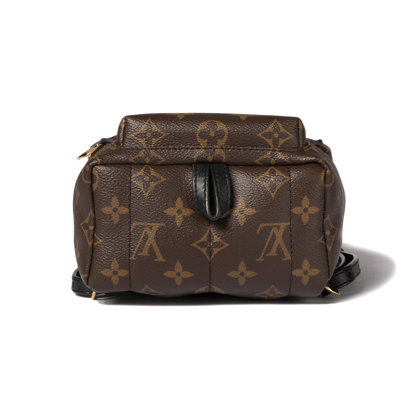 Louis Vuitton Monogram Palm Springs Mini Backpack