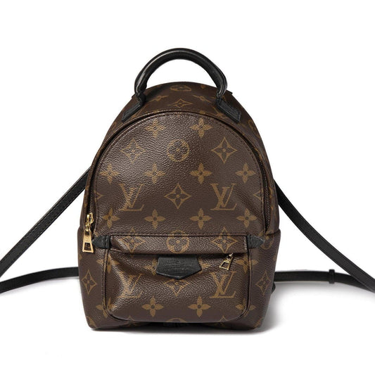 Louis Vuitton Monogram Palm Springs Mini Backpack