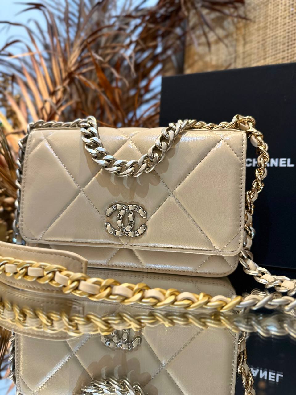 Goatskin Quilted Luxury Chanel 19 Wallet On Chain WOC (Beige)