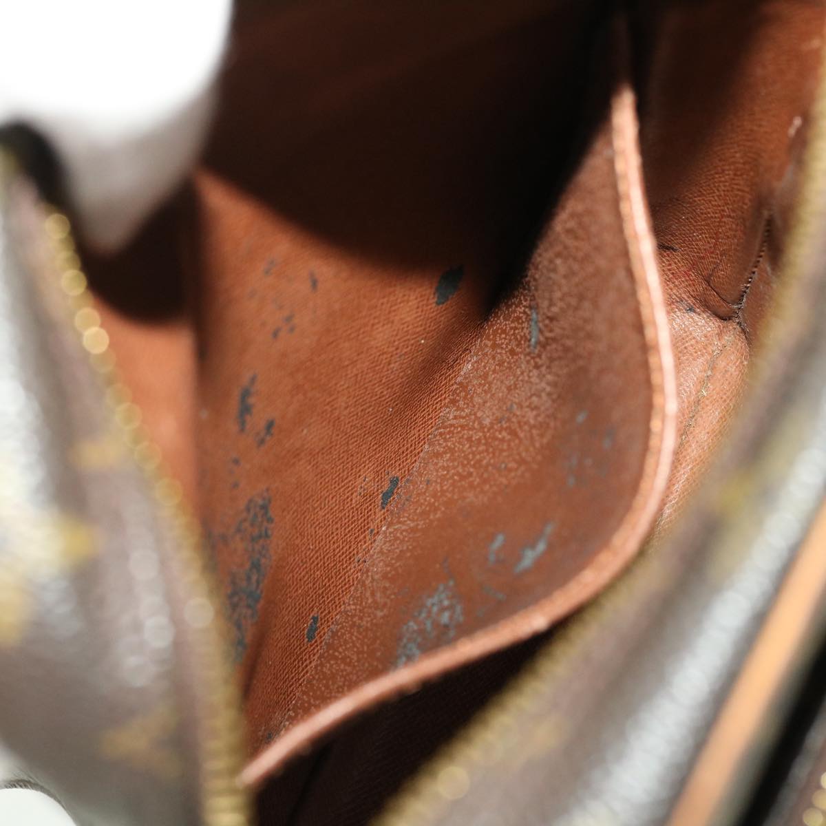LOUIS VUITTON Monogram Amazon Shoulder Bag M45236 LV rd5289