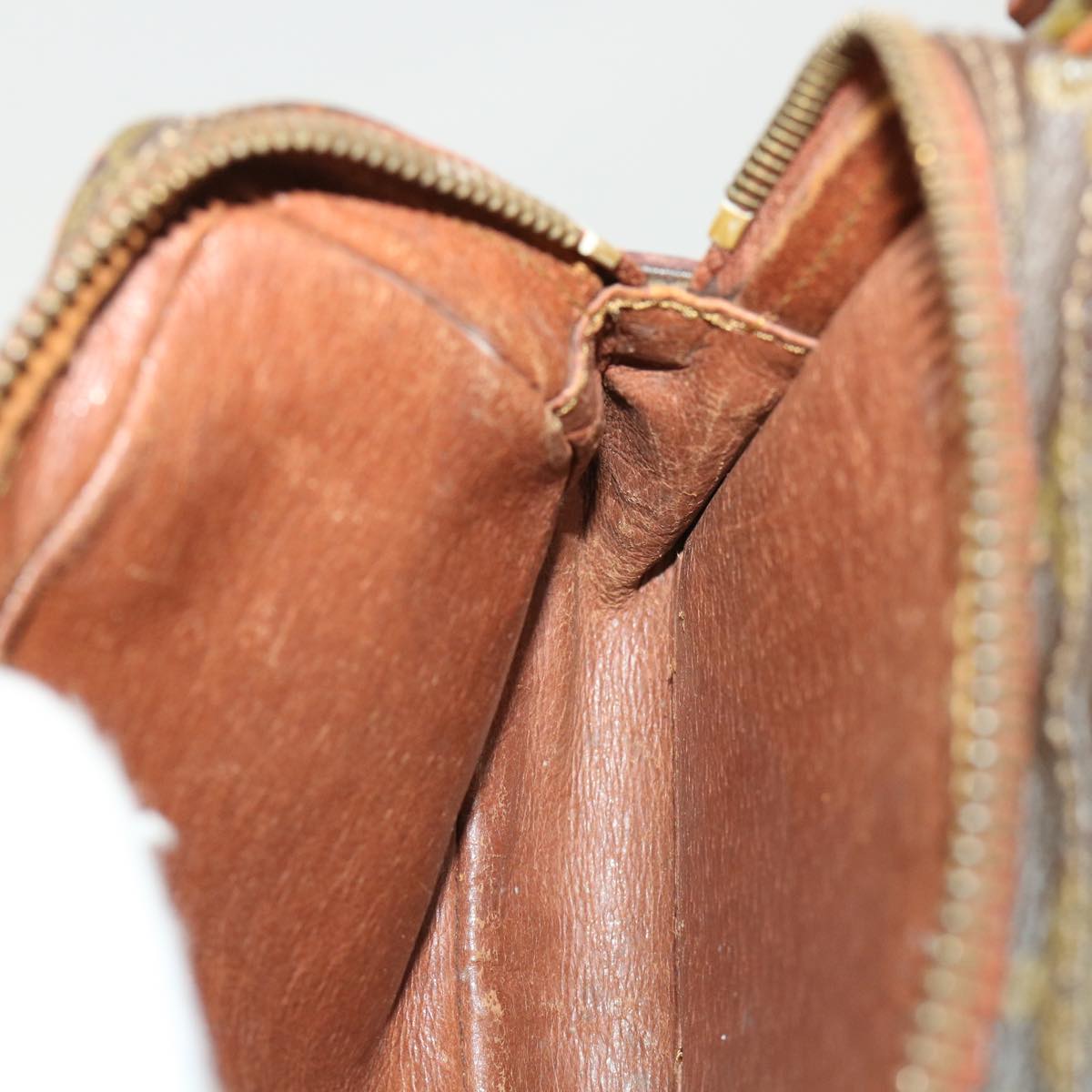 LOUIS VUITTON Monogram Mini Amazon Shoulder Bag M45238 LV rd5363
