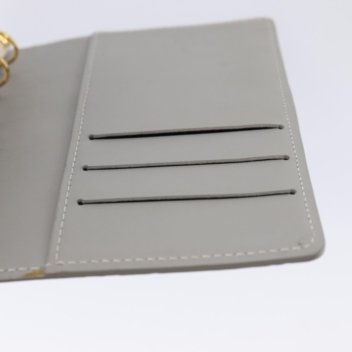 LOUIS VUITTON Vernis Agenda PM Day Planner Cover Gris R21001 LV tb1193