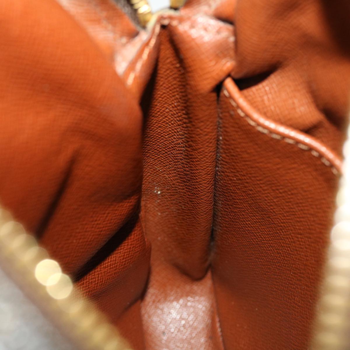 LOUIS VUITTON Monogram Amazon Shoulder Bag M45236 LV th3754