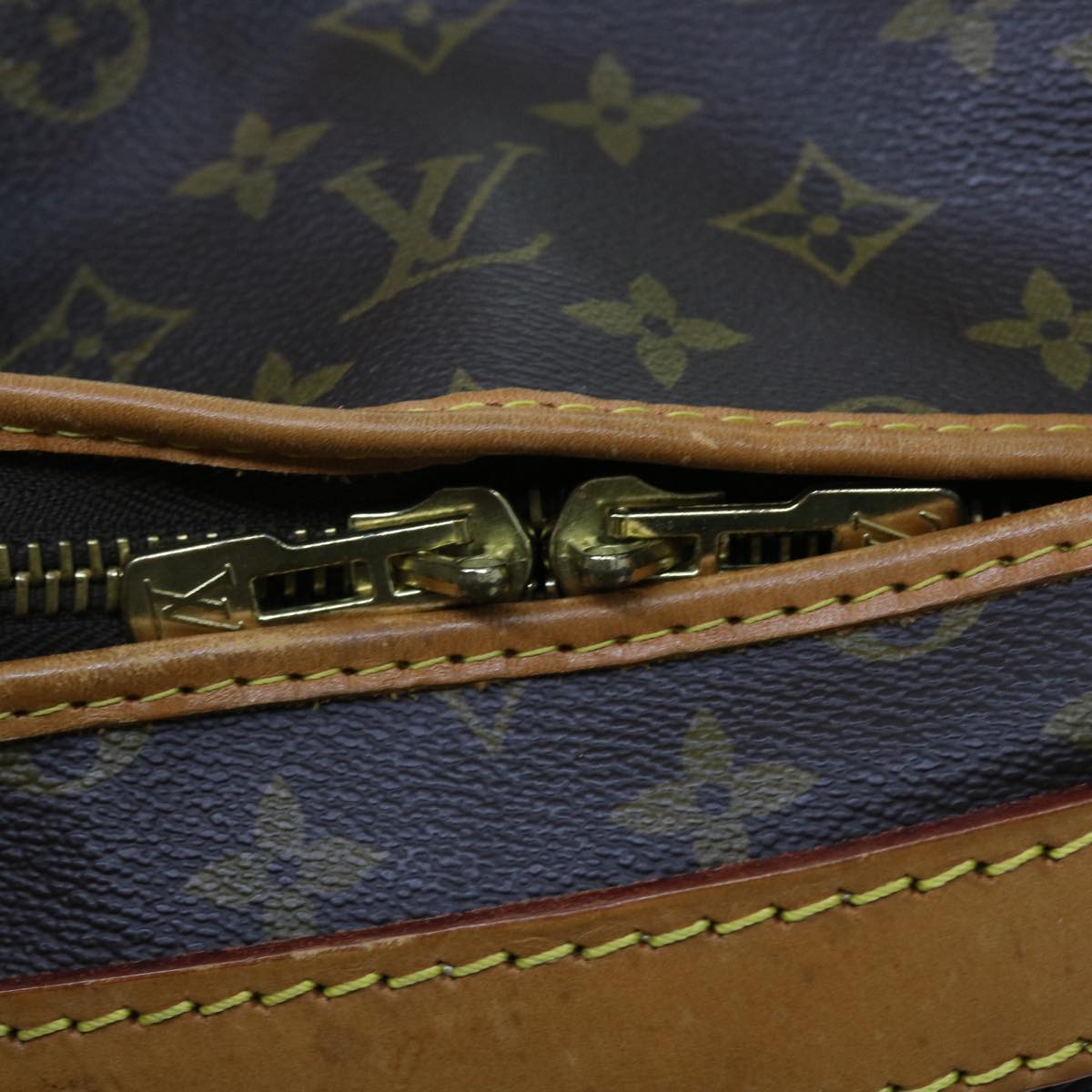 LOUIS VUITTON Monogram Sac Shan 55 Pet Carry M42020 LV th4065