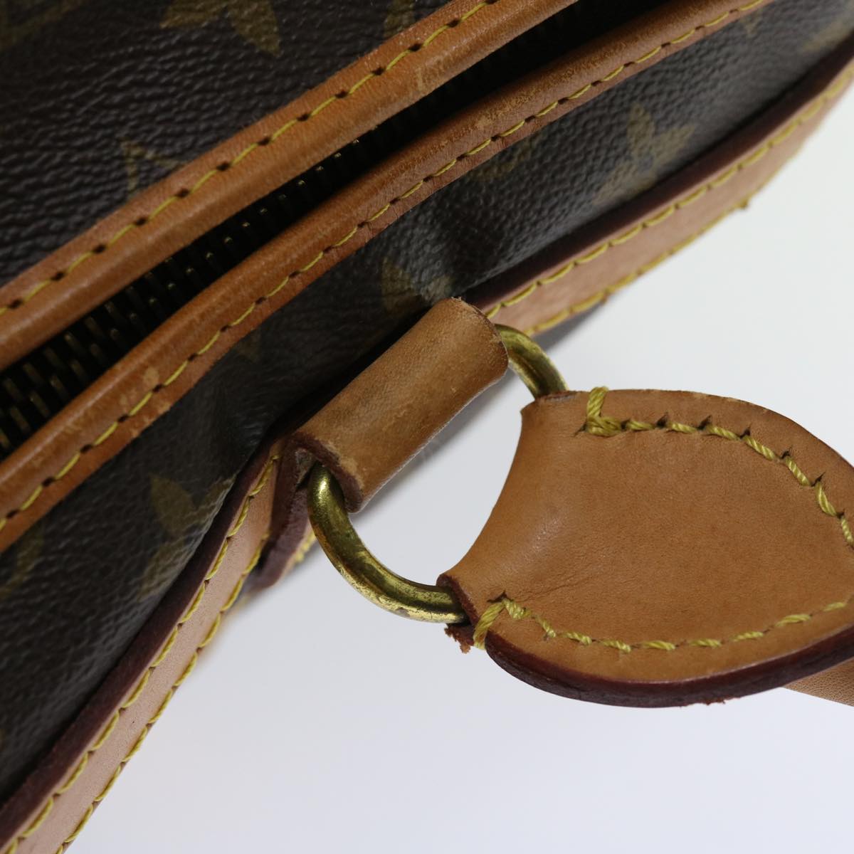 LOUIS VUITTON Monogram Sac Shan 55 Pet Carry M42020 LV th4065