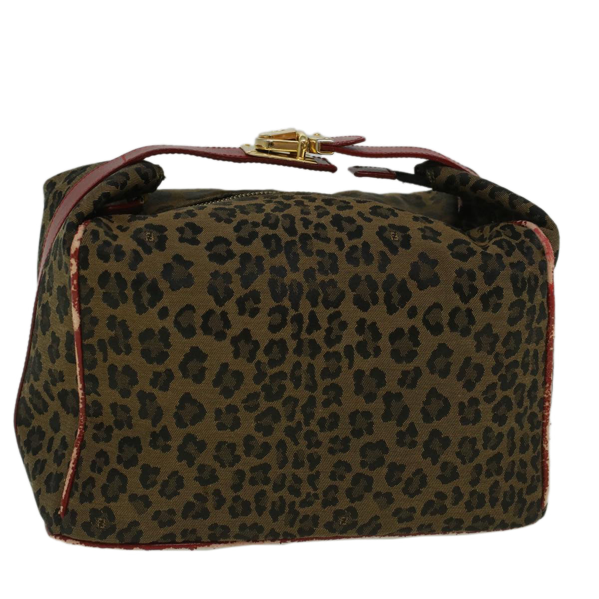 Luxury FendiLeopard Hand Bag Nylon Brown Redth4301