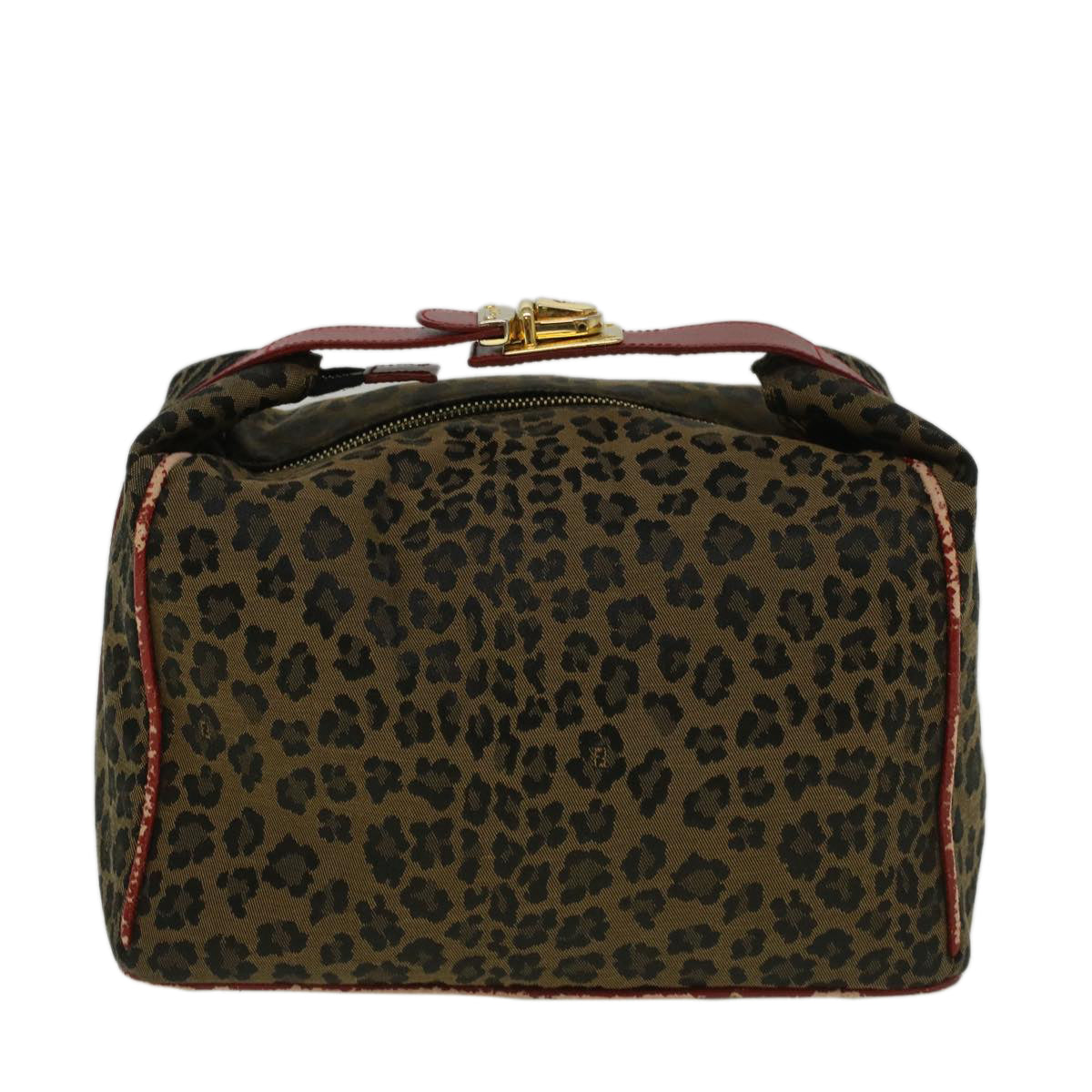 Luxury FendiLeopard Hand Bag Nylon Brown Redth4301