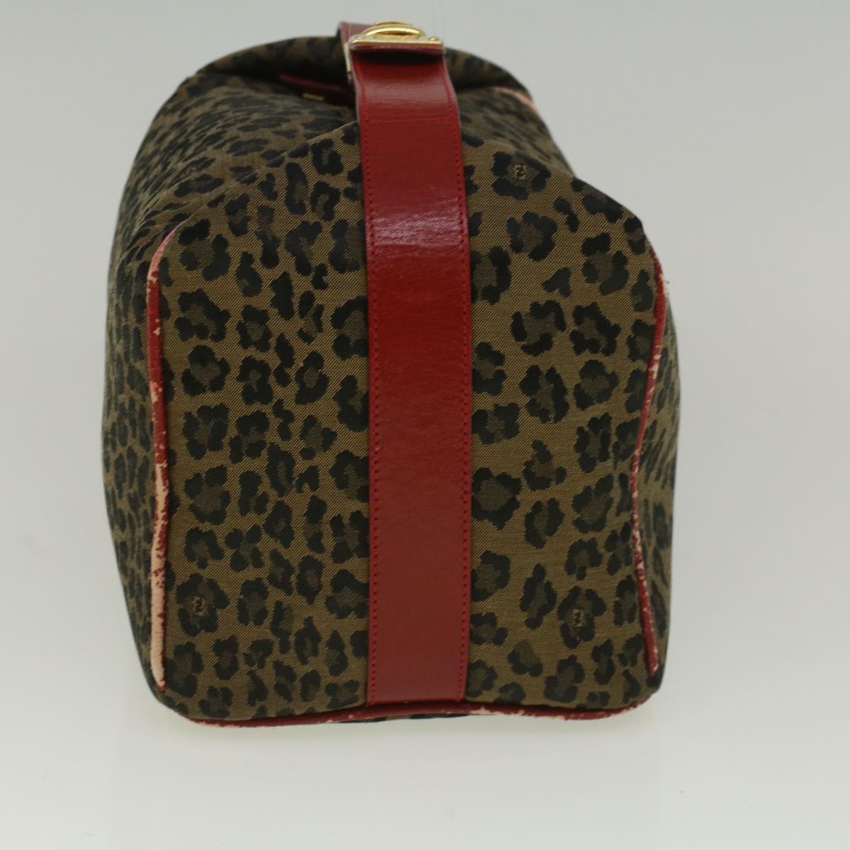 Luxury FendiLeopard Hand Bag Nylon Brown Redth4301
