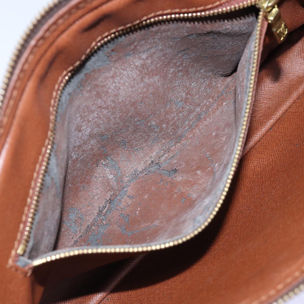 LOUIS VUITTON Monogram Marly Dragonne GM Clutch Bag M51825 LV th4906