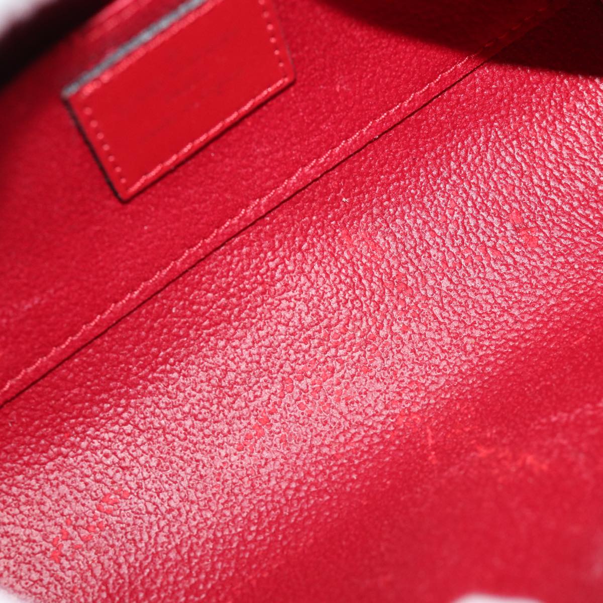 LOUIS VUITTON Epi Dauphine PM Pouch Castilian Red M48447 LV th4932