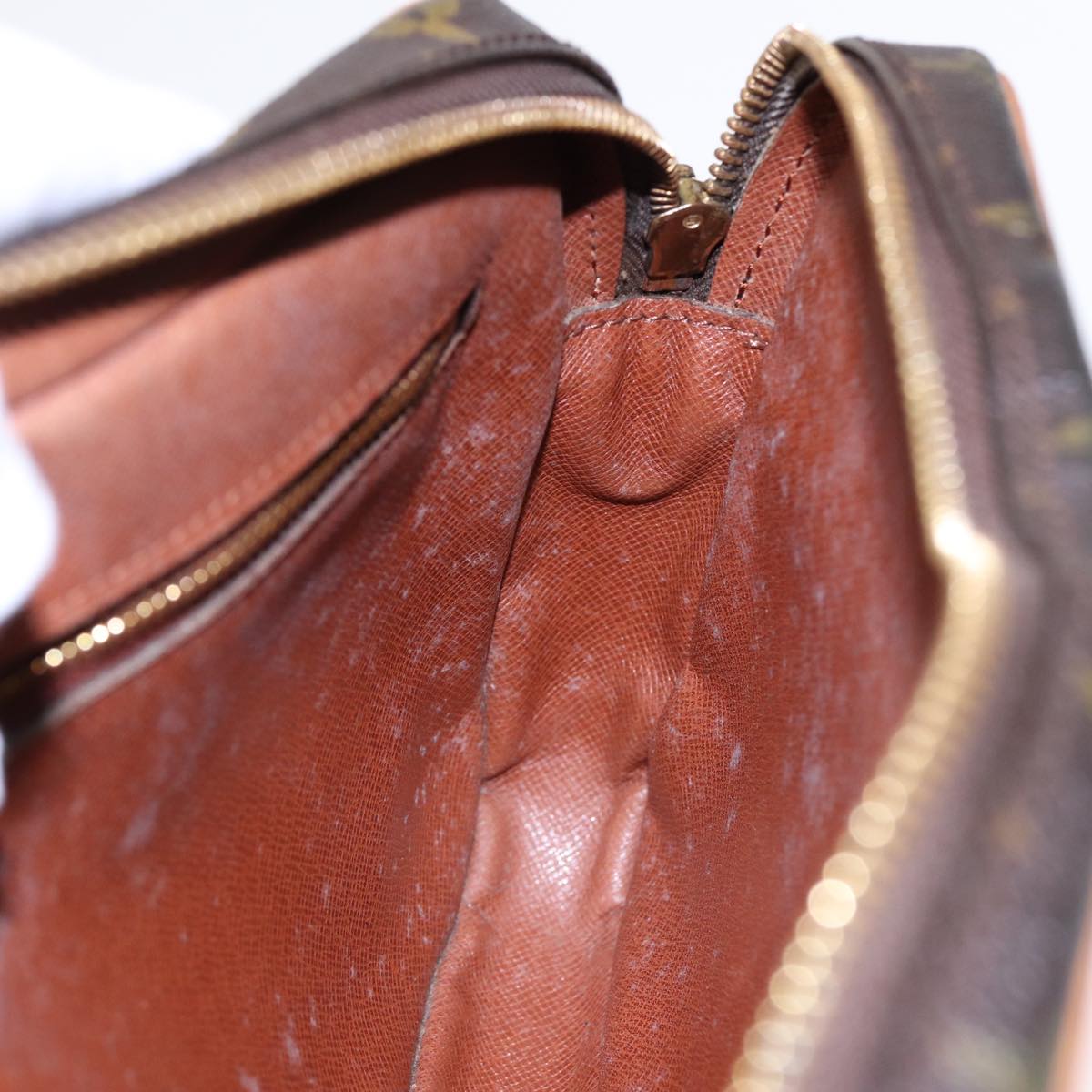 LOUIS VUITTON Monogram Marly Dragonne GM Clutch Bag M51825 LV th5269