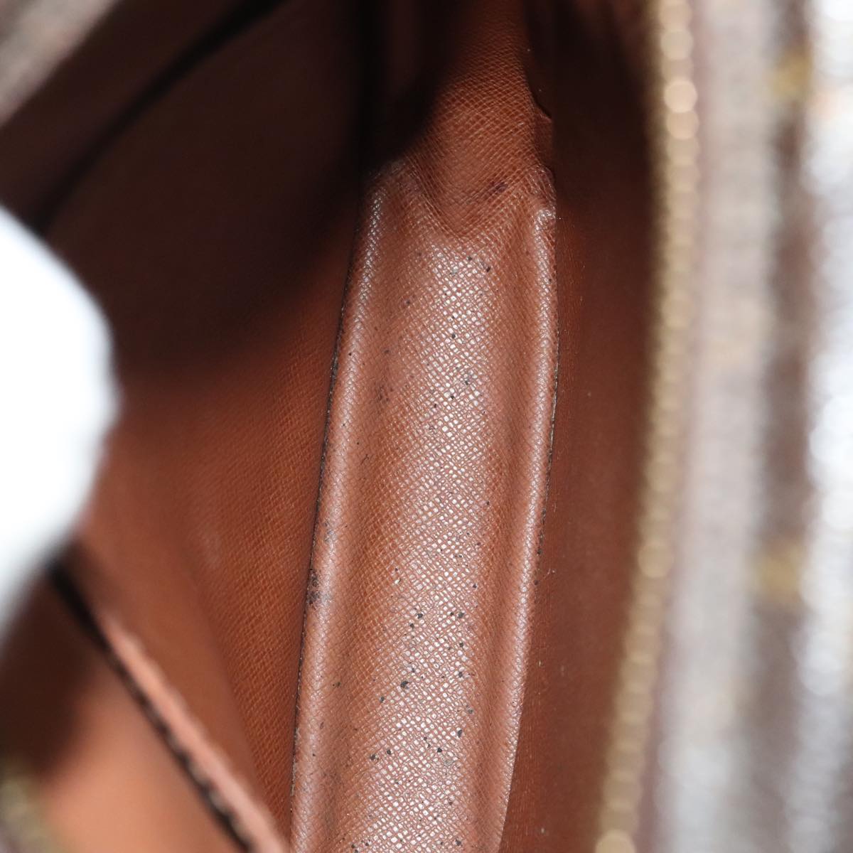 LOUIS VUITTON Monogram Amazon Shoulder Bag M45236 LV th5275