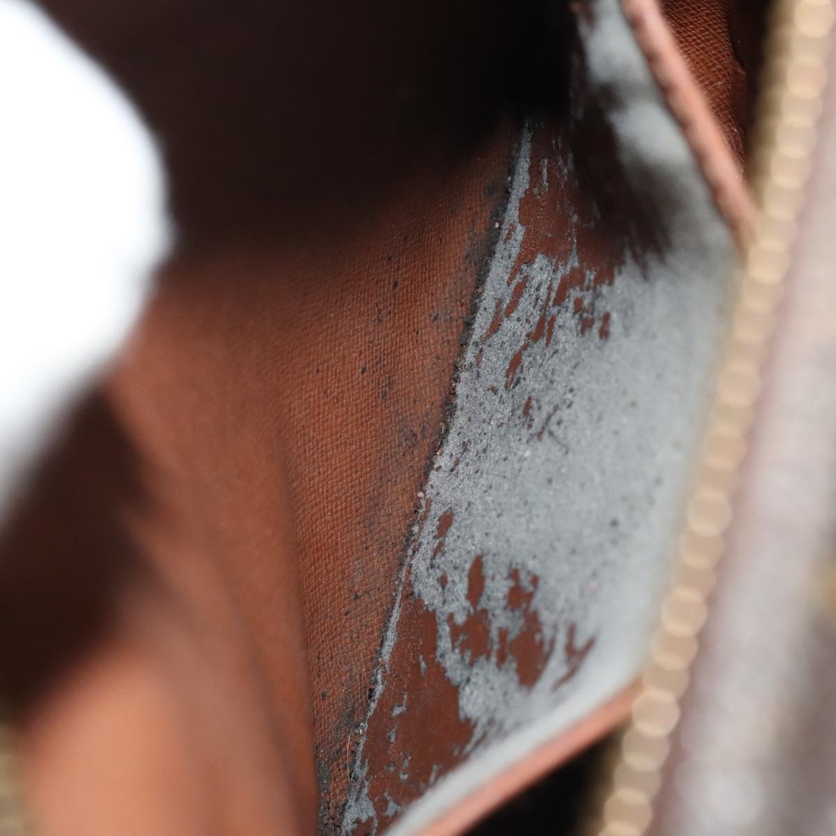 LOUIS VUITTON Monogram Amazon Shoulder Bag M45236 LV th5275