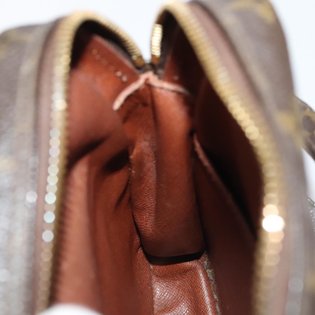 LOUIS VUITTON Monogram Amazon Shoulder Bag M45236 LV th5391
