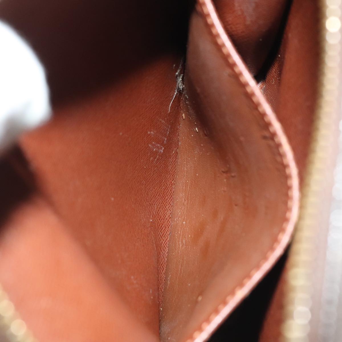 LOUIS VUITTON Monogram Amazon Shoulder Bag M45236 LV th5391