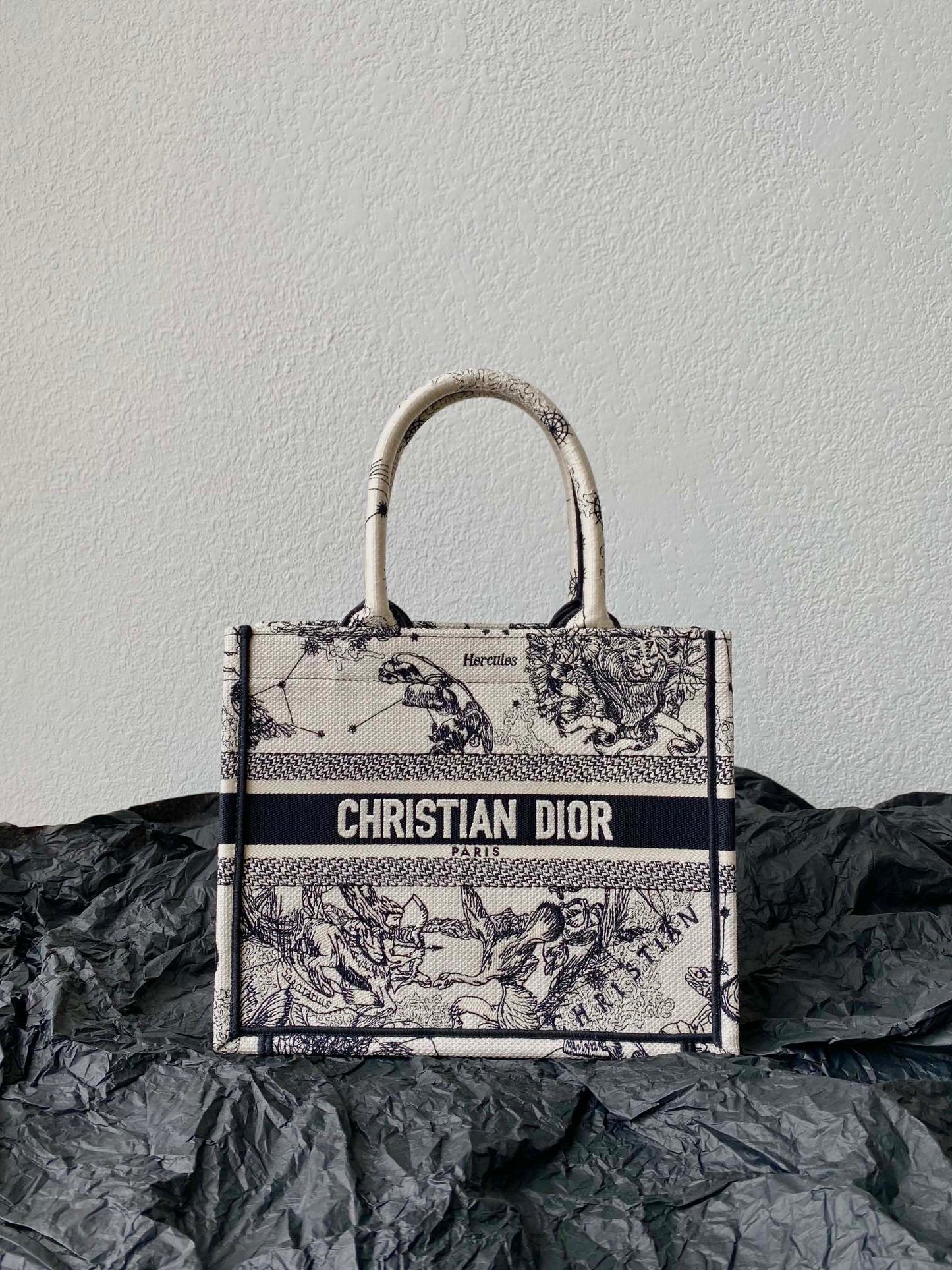 Luxury DiorSmall Book Tote 26.5cm Hercules White