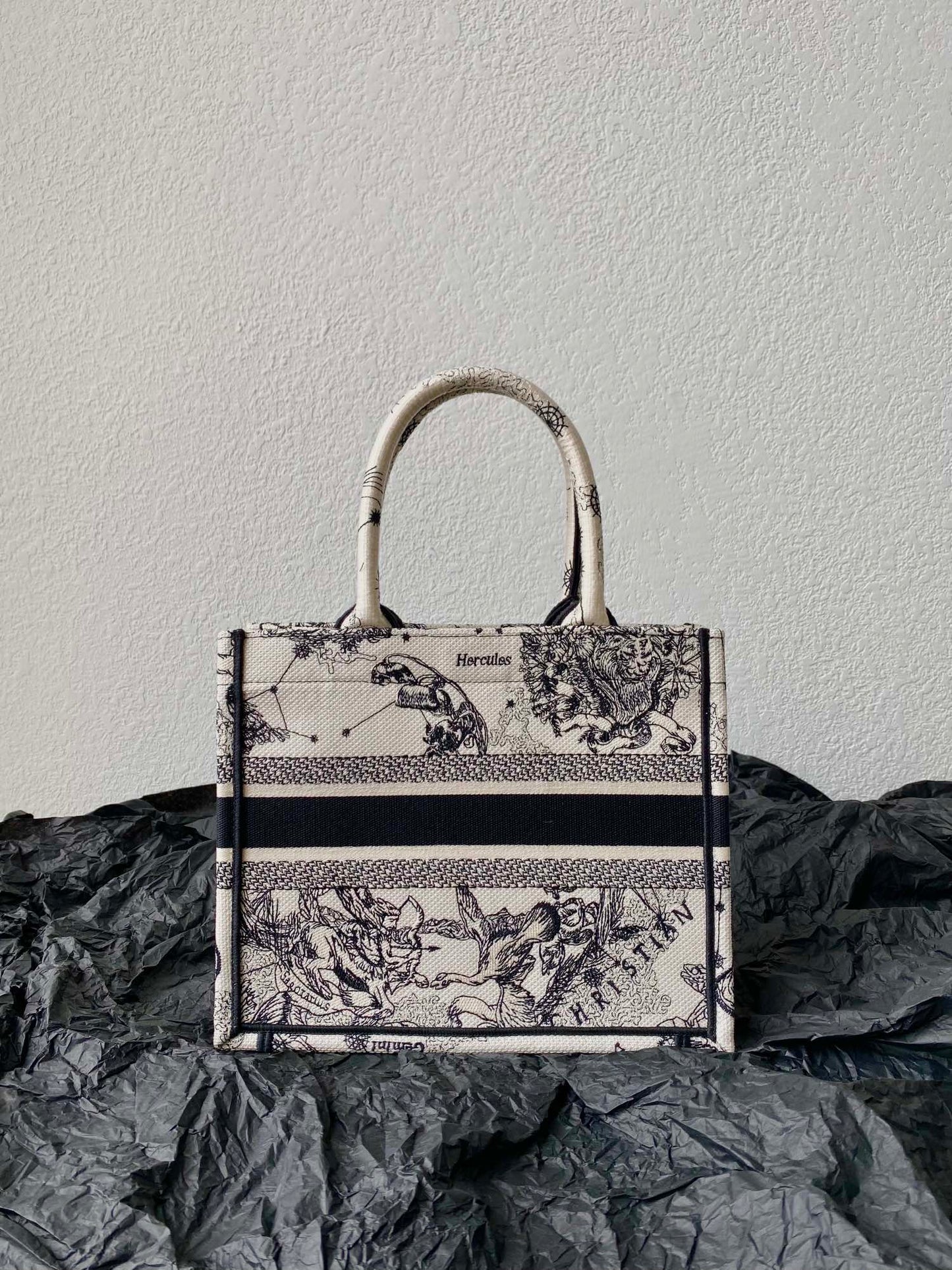 Luxury DiorSmall Book Tote 26.5cm Hercules White