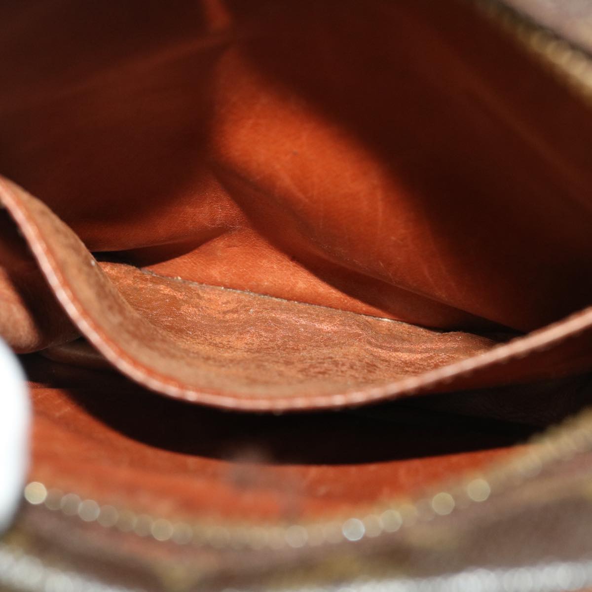 LOUIS VUITTON Monogram Amazon Shoulder Bag M45236 LV yk7310